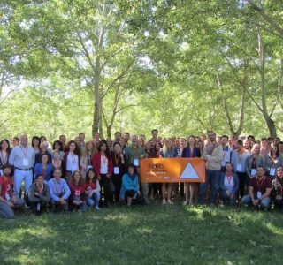 ysm-morillo-group 2 web