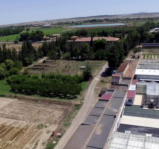 Campos investigación AulaDei CSIC prensa frutas