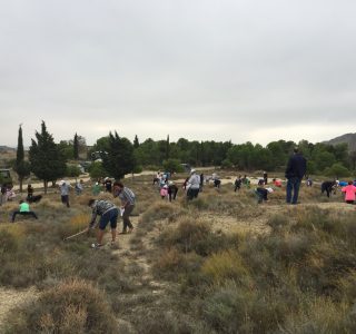 Grupo Zoilo Ríos con la Fundación Árboles para Siempre