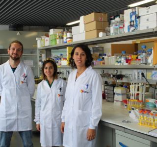 Nuevos Marie Skłodowska-Curie del ICMA web