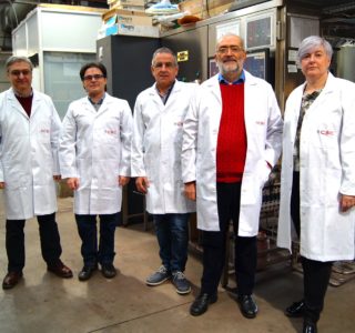 científicos del CSIC del Instituto de Carboquímica- Francisco García, Alberto Abad, Juan Adánez, Luis de Diego y Pilar Gayán