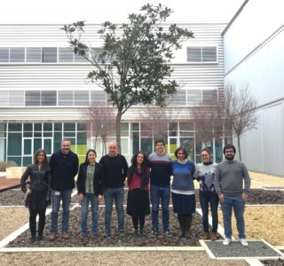 foto equipo_ICMA