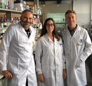investigadores del ICMA patrimonio