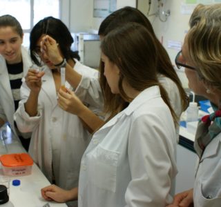 CSI jovenes investigadores